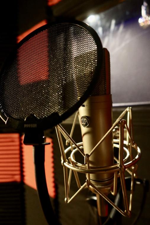 Warm Audio WA-87 on a shock mount behind a pop filter